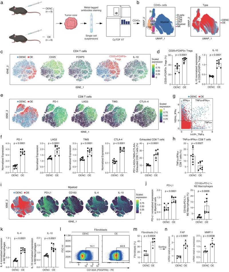 https://cdn.ncbi.nlm.nih.gov/pmc/blobs/6968/10853547/bc99a5a61f77/41467_2024_45340_Fig5_HTML.jpg