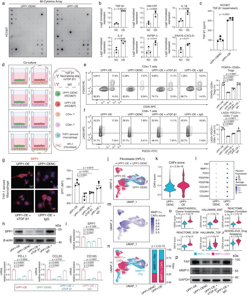 https://cdn.ncbi.nlm.nih.gov/pmc/blobs/6968/10853547/fddb7a7963c7/41467_2024_45340_Fig3_HTML.jpg