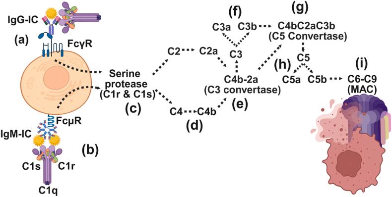 https://cdn.ncbi.nlm.nih.gov/pmc/blobs/6969/12397872/71c89696311d/gr1.jpg