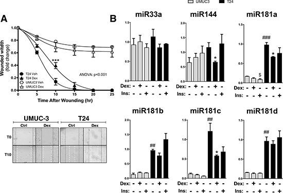 https://cdn.ncbi.nlm.nih.gov/pmc/blobs/6969/5053652/ffbcd1b13a4d/oncotarget-07-27313-g006.jpg