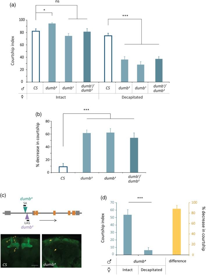 https://cdn.ncbi.nlm.nih.gov/pmc/blobs/696a/5836944/5398106e1d43/GBB-17-158-g002.jpg
