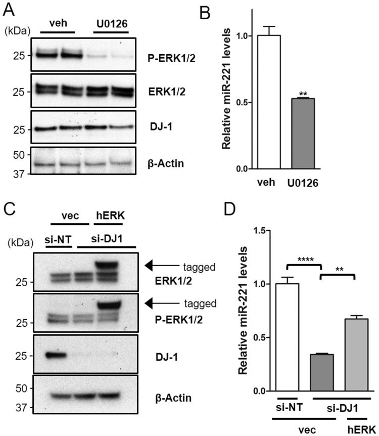 https://cdn.ncbi.nlm.nih.gov/pmc/blobs/696d/6092527/2bd2333b23f2/gr6.jpg