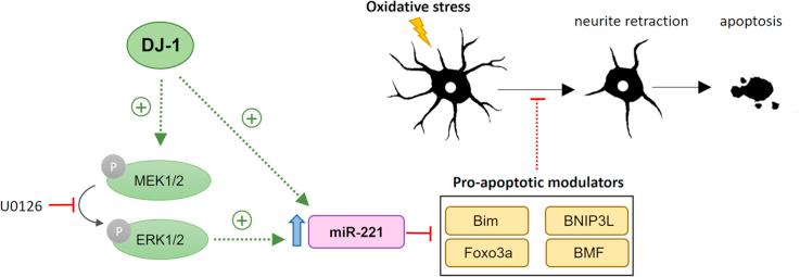 https://cdn.ncbi.nlm.nih.gov/pmc/blobs/696d/6092527/5bb86e303677/fx1.jpg