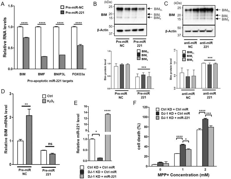 https://cdn.ncbi.nlm.nih.gov/pmc/blobs/696d/6092527/6db28d51addb/gr3.jpg