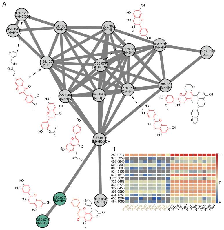 https://cdn.ncbi.nlm.nih.gov/pmc/blobs/696f/11902209/a322c860c80c/plants-14-00753-g006.jpg