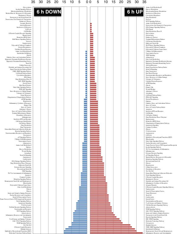 https://cdn.ncbi.nlm.nih.gov/pmc/blobs/6970/3526409/b5f5774ce480/1742-2094-9-256-3.jpg