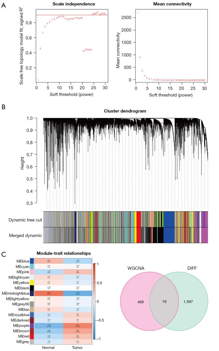 https://cdn.ncbi.nlm.nih.gov/pmc/blobs/6974/10331707/21c00988639a/tcr-12-06-1466-f3.jpg
