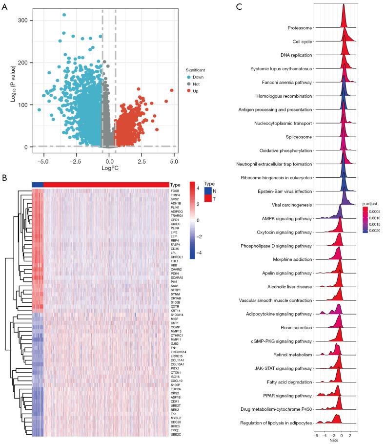 https://cdn.ncbi.nlm.nih.gov/pmc/blobs/6974/10331707/3db499d2988c/tcr-12-06-1466-f2.jpg
