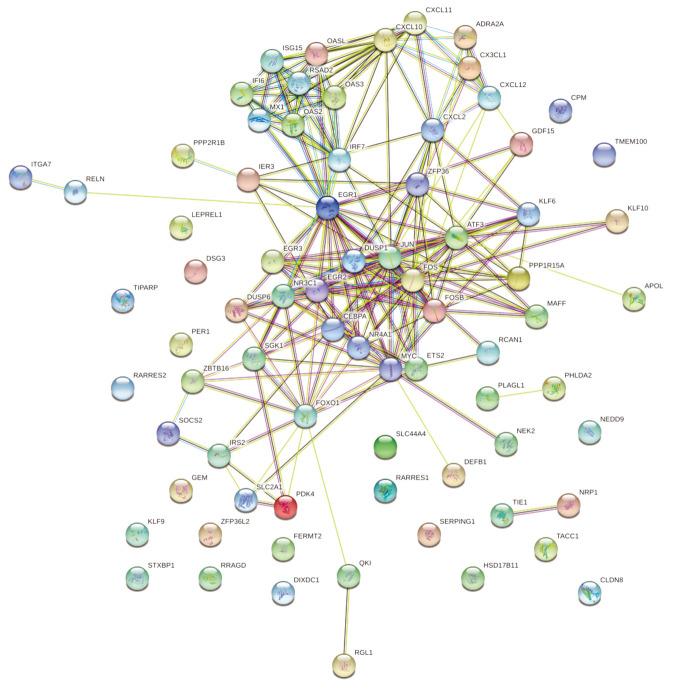 https://cdn.ncbi.nlm.nih.gov/pmc/blobs/6974/10331707/afe637e74920/tcr-12-06-1466-f5.jpg