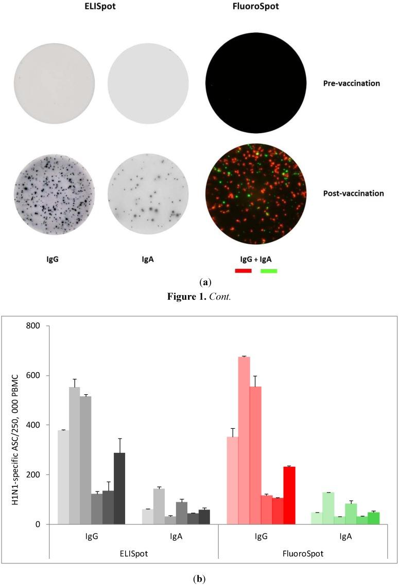 https://cdn.ncbi.nlm.nih.gov/pmc/blobs/6974/3901096/4dc537d654b3/cells-01-00027-g001.jpg