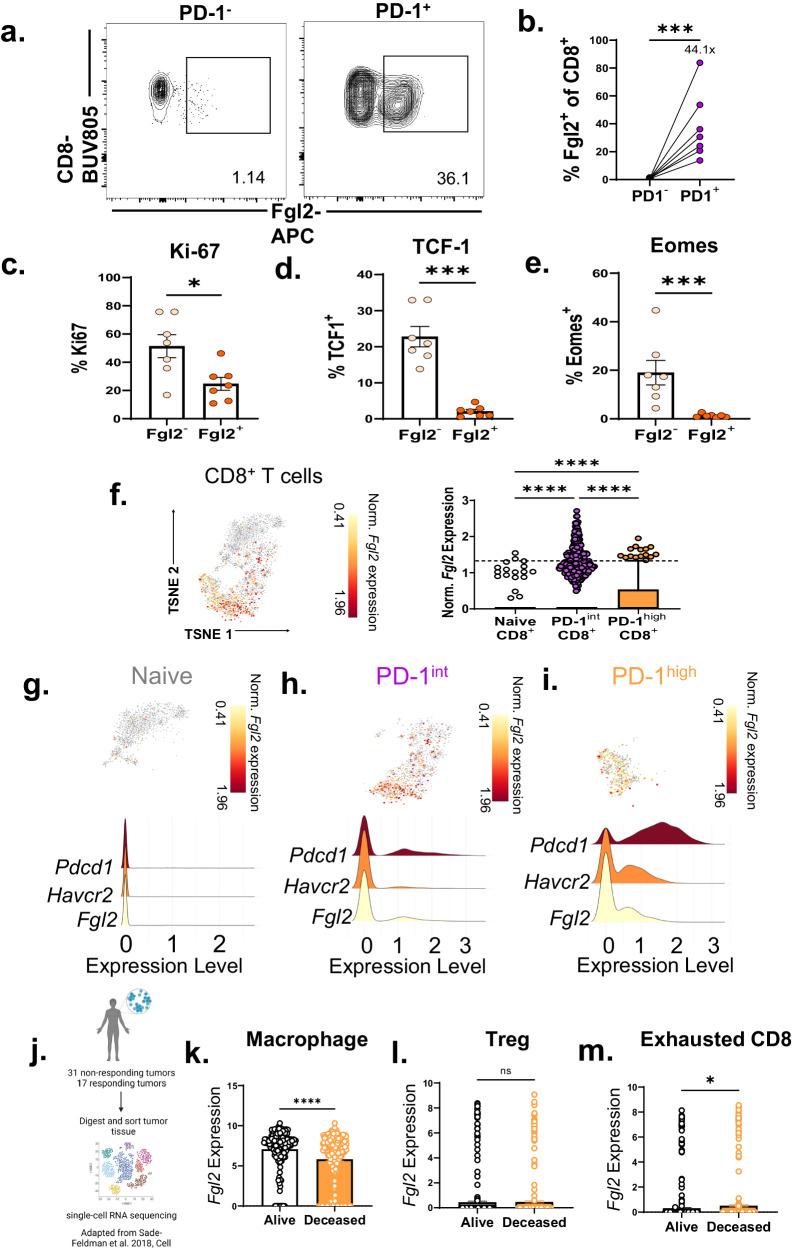 https://cdn.ncbi.nlm.nih.gov/pmc/blobs/6975/11190225/3e6913f3a36a/41467_2024_49475_Fig1_HTML.jpg