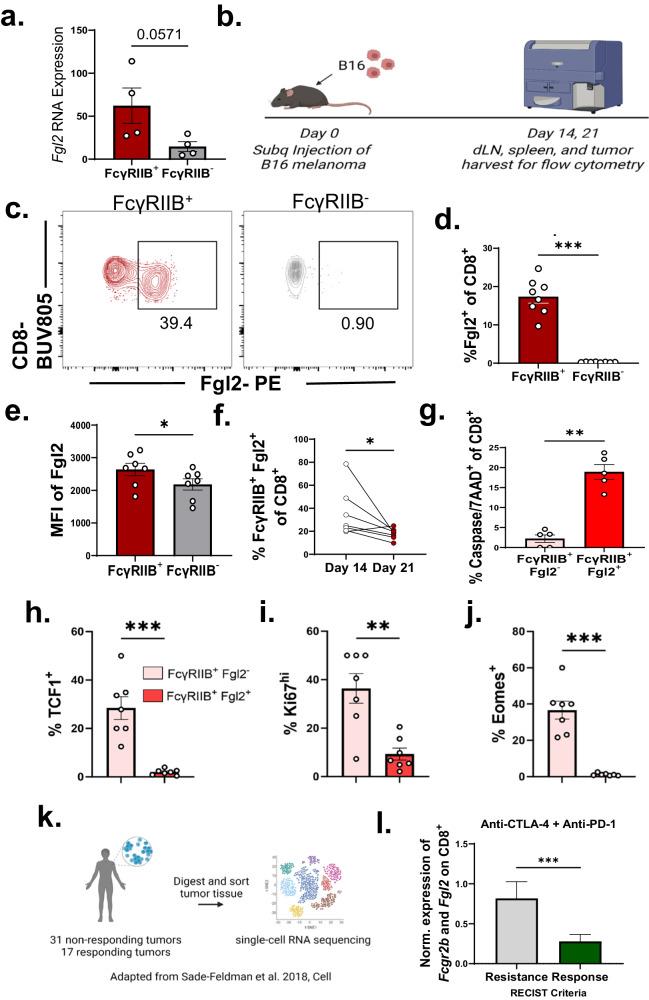 https://cdn.ncbi.nlm.nih.gov/pmc/blobs/6975/11190225/e3d228533302/41467_2024_49475_Fig6_HTML.jpg