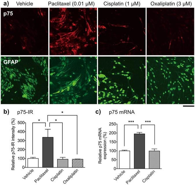 https://cdn.ncbi.nlm.nih.gov/pmc/blobs/6975/5519765/97f41caa73cf/41598_2017_5784_Fig6_HTML.jpg