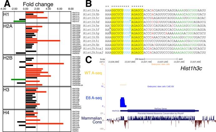 https://cdn.ncbi.nlm.nih.gov/pmc/blobs/6977/4117776/bd8e2ed996a8/gku551fig3.jpg