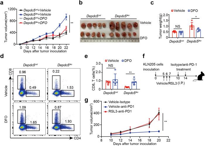 https://cdn.ncbi.nlm.nih.gov/pmc/blobs/697b/11102918/36ae38f4b9ef/41421_2024_682_Fig7_HTML.jpg