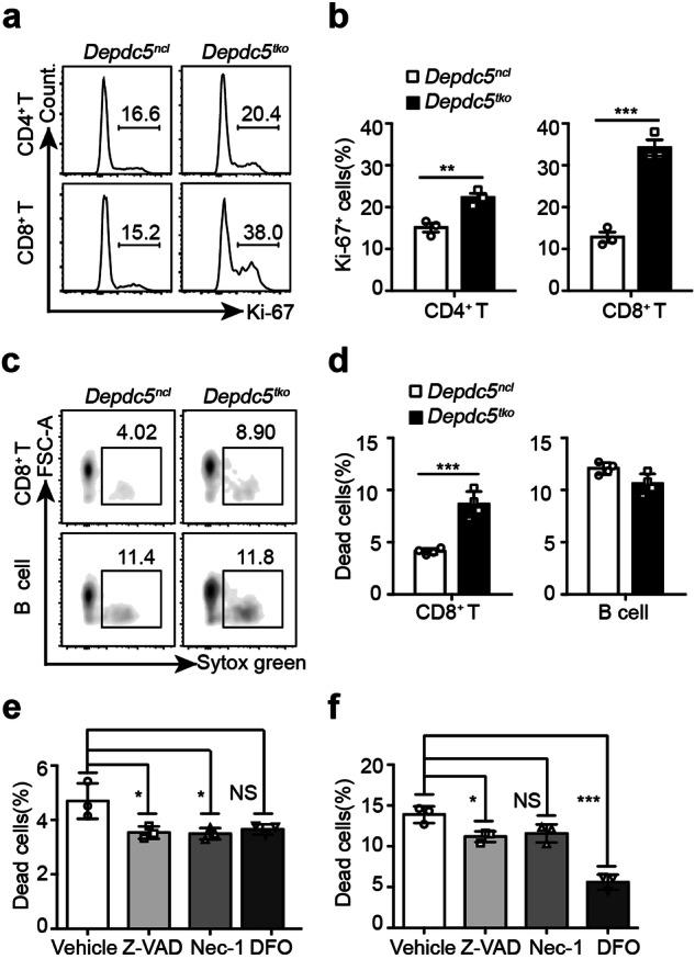 https://cdn.ncbi.nlm.nih.gov/pmc/blobs/697b/11102918/7b230d2023ae/41421_2024_682_Fig3_HTML.jpg