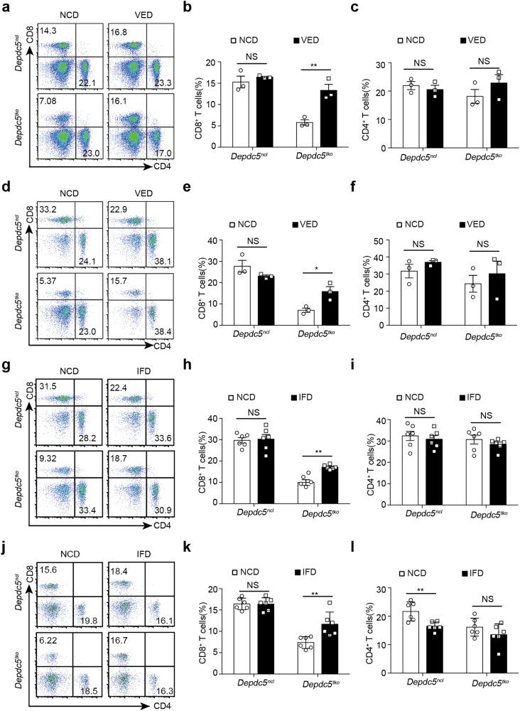 https://cdn.ncbi.nlm.nih.gov/pmc/blobs/697b/11102918/ac90e9dca07a/41421_2024_682_Fig4_HTML.jpg