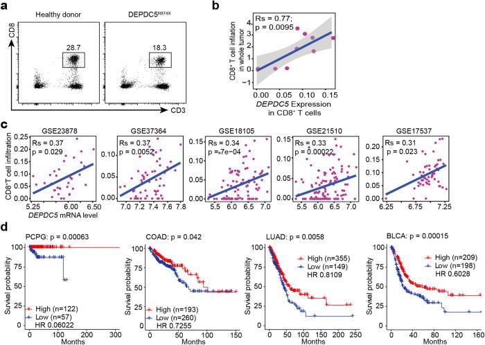 https://cdn.ncbi.nlm.nih.gov/pmc/blobs/697b/11102918/c60f17dbfd41/41421_2024_682_Fig1_HTML.jpg