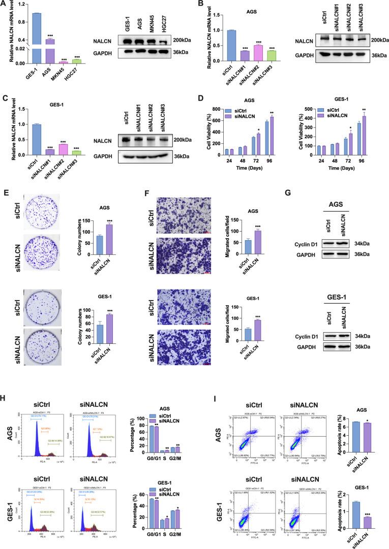 https://cdn.ncbi.nlm.nih.gov/pmc/blobs/697b/11860897/2350e4ac924d/fimmu-16-1512107-g002.jpg