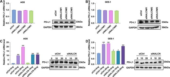 https://cdn.ncbi.nlm.nih.gov/pmc/blobs/697b/11860897/b925bc655d6b/fimmu-16-1512107-g006.jpg