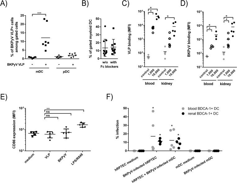 https://cdn.ncbi.nlm.nih.gov/pmc/blobs/697b/7886149/321a21307eb5/ppat.1009042.g008.jpg