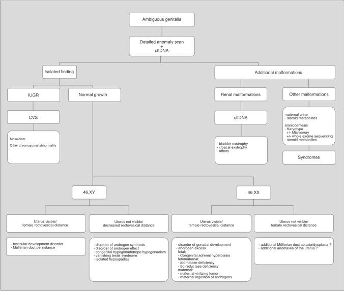 https://cdn.ncbi.nlm.nih.gov/pmc/blobs/697c/9633498/0803fb4fac25/404_2022_6441_Fig6_HTML.jpg
