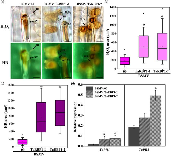 https://cdn.ncbi.nlm.nih.gov/pmc/blobs/697d/10502812/a8dc81d4199c/MPP-24-1205-g006.jpg
