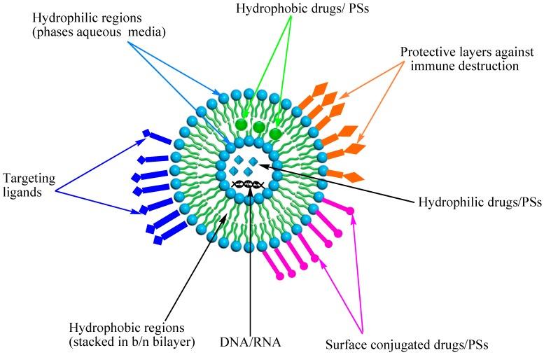 https://cdn.ncbi.nlm.nih.gov/pmc/blobs/6980/4613299/2e76b8a6fc98/ijms-16-22094-g004.jpg
