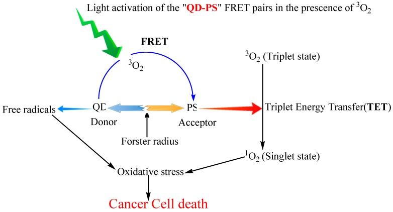 https://cdn.ncbi.nlm.nih.gov/pmc/blobs/6980/4613299/ebf35ff32f53/ijms-16-22094-g006.jpg