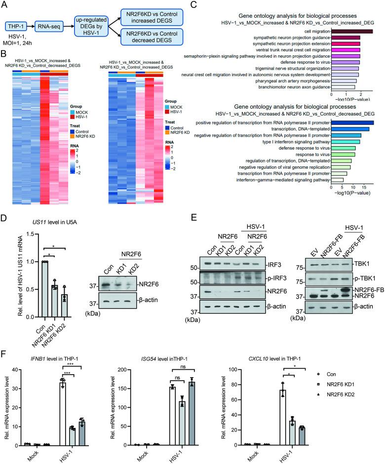 https://cdn.ncbi.nlm.nih.gov/pmc/blobs/6981/11175508/c62debe3ae93/ppat.1012271.g003.jpg