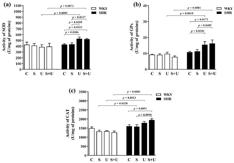 https://cdn.ncbi.nlm.nih.gov/pmc/blobs/6981/9030389/84767ab06b5a/antioxidants-11-00751-g003.jpg