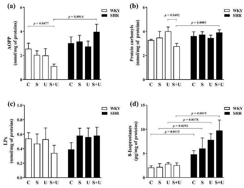 https://cdn.ncbi.nlm.nih.gov/pmc/blobs/6981/9030389/fa2f3a1c5815/antioxidants-11-00751-g004.jpg