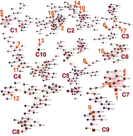 https://cdn.ncbi.nlm.nih.gov/pmc/blobs/6981/9050285/ec3a0bb4a739/ECAM2022-3710791.004.jpg
