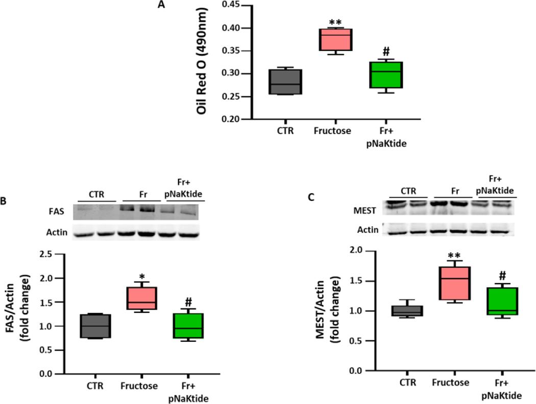 https://cdn.ncbi.nlm.nih.gov/pmc/blobs/6983/10812088/09f9e94528f5/nihms-1917373-f0006.jpg