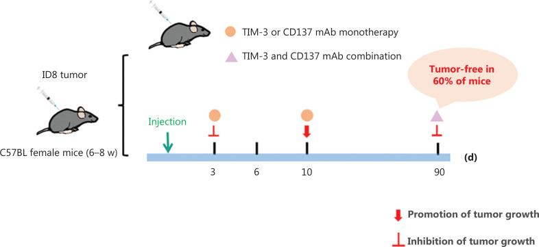 https://cdn.ncbi.nlm.nih.gov/pmc/blobs/6985/11208906/e77eb4325964/cbm-21-451-g005.jpg