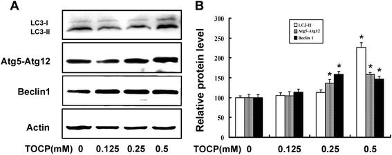 https://cdn.ncbi.nlm.nih.gov/pmc/blobs/6987/4897823/d913d5e0d371/12958_2016_165_Fig3_HTML.jpg