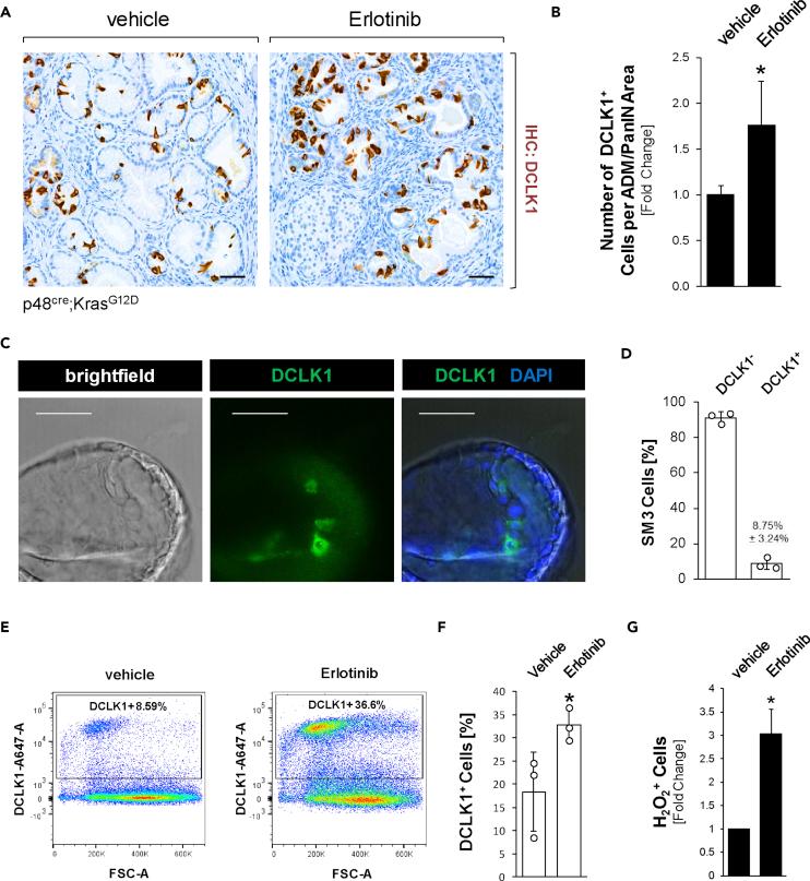 https://cdn.ncbi.nlm.nih.gov/pmc/blobs/6987/7820128/a541f7cac2c0/gr2.jpg
