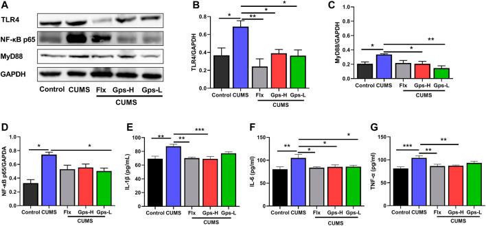 https://cdn.ncbi.nlm.nih.gov/pmc/blobs/6987/8973912/3c863d9f020c/fphar-13-838261-g007.jpg