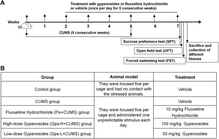 https://cdn.ncbi.nlm.nih.gov/pmc/blobs/6987/8973912/baae65edfa48/fphar-13-838261-g001.jpg