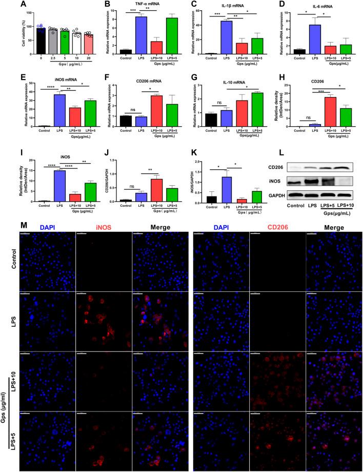 https://cdn.ncbi.nlm.nih.gov/pmc/blobs/6987/8973912/dd086045e0c4/fphar-13-838261-g002.jpg