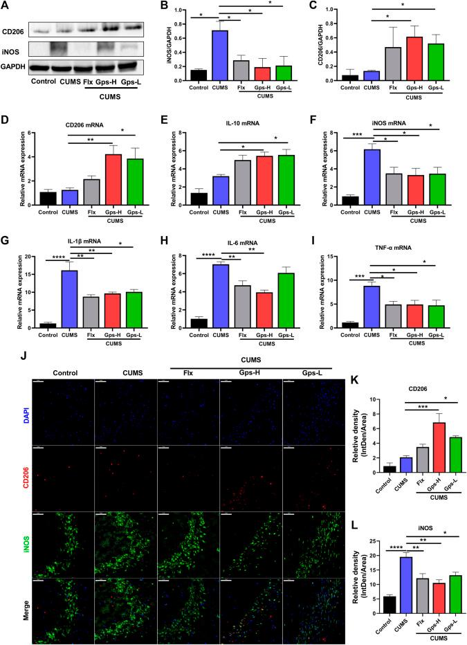 https://cdn.ncbi.nlm.nih.gov/pmc/blobs/6987/8973912/f789d07e2060/fphar-13-838261-g006.jpg