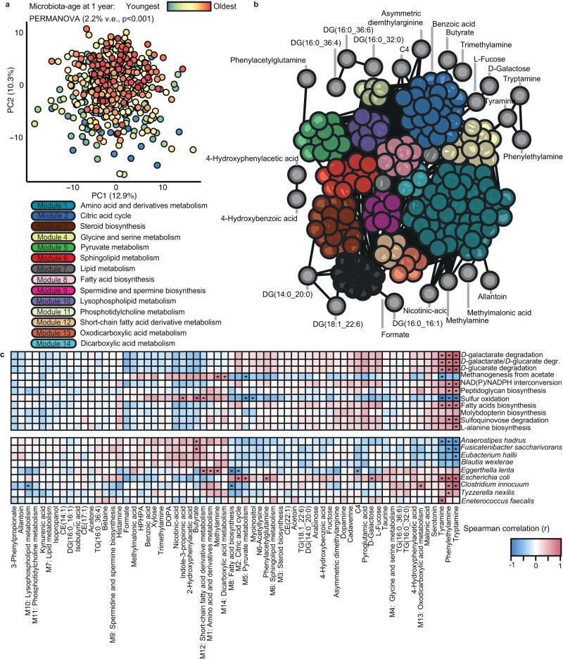 https://cdn.ncbi.nlm.nih.gov/pmc/blobs/6988/10465508/9558daf95f3d/41467_2023_40336_Fig6_HTML.jpg