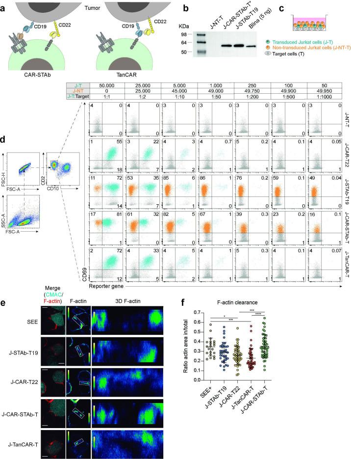 https://cdn.ncbi.nlm.nih.gov/pmc/blobs/698b/12049870/4065494e9468/jitc-13-4-g001.jpg