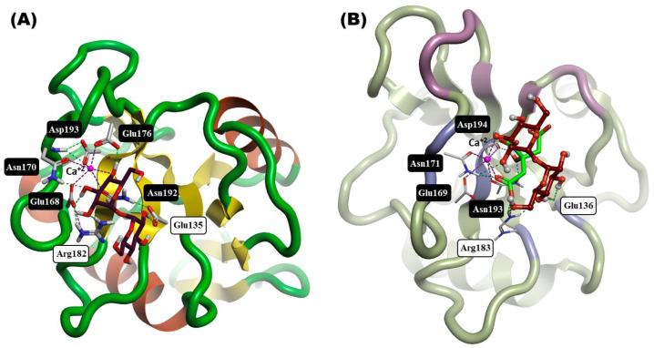 https://cdn.ncbi.nlm.nih.gov/pmc/blobs/698d/11432005/402a87d71a7e/ijms-25-10031-g005.jpg