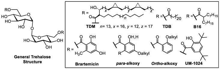 https://cdn.ncbi.nlm.nih.gov/pmc/blobs/698d/11432005/e63614c7dce5/ijms-25-10031-g001.jpg