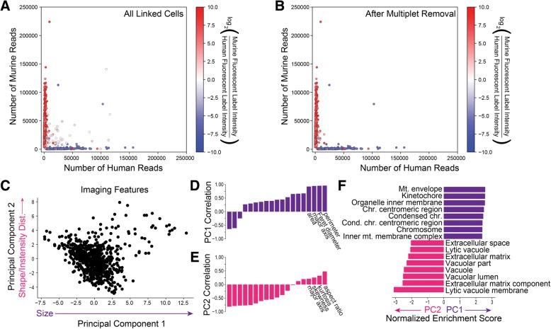 https://cdn.ncbi.nlm.nih.gov/pmc/blobs/698d/6305572/a654d015924d/13059_2018_1607_Fig2_HTML.jpg