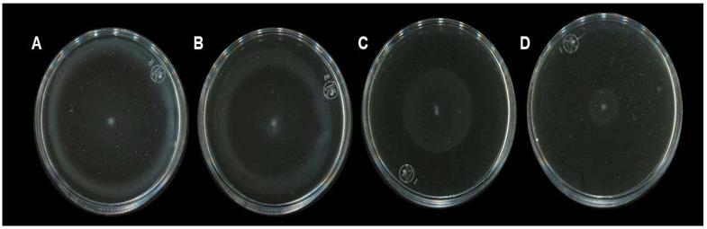 https://cdn.ncbi.nlm.nih.gov/pmc/blobs/6990/8839027/0738e37381ae/molecules-27-00655-g003.jpg