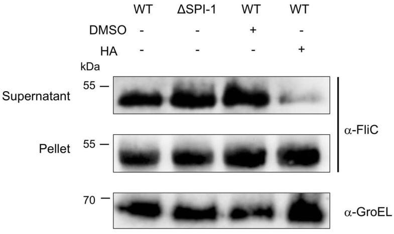 https://cdn.ncbi.nlm.nih.gov/pmc/blobs/6990/8839027/0c4a31f6ade3/molecules-27-00655-g006.jpg
