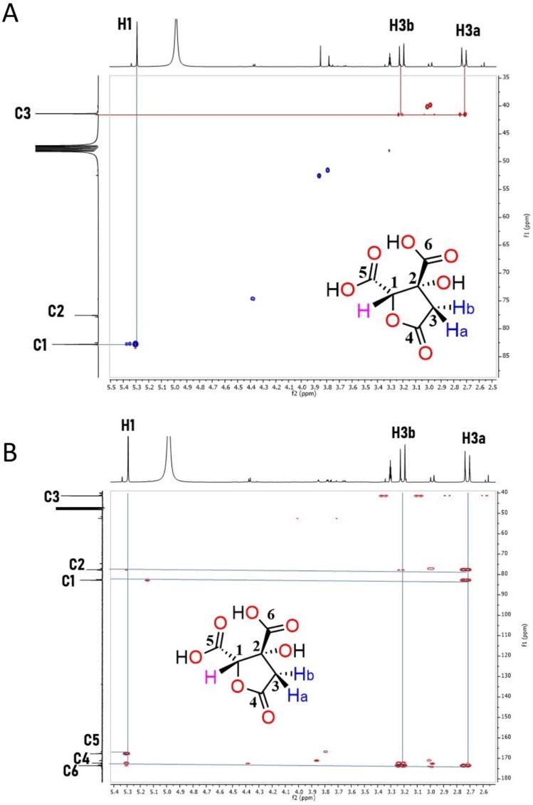 https://cdn.ncbi.nlm.nih.gov/pmc/blobs/6990/8839027/c461c1e9c871/molecules-27-00655-g004.jpg