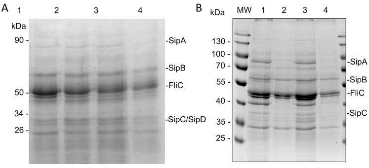 https://cdn.ncbi.nlm.nih.gov/pmc/blobs/6990/8839027/dfc0aeb440d4/molecules-27-00655-g007.jpg